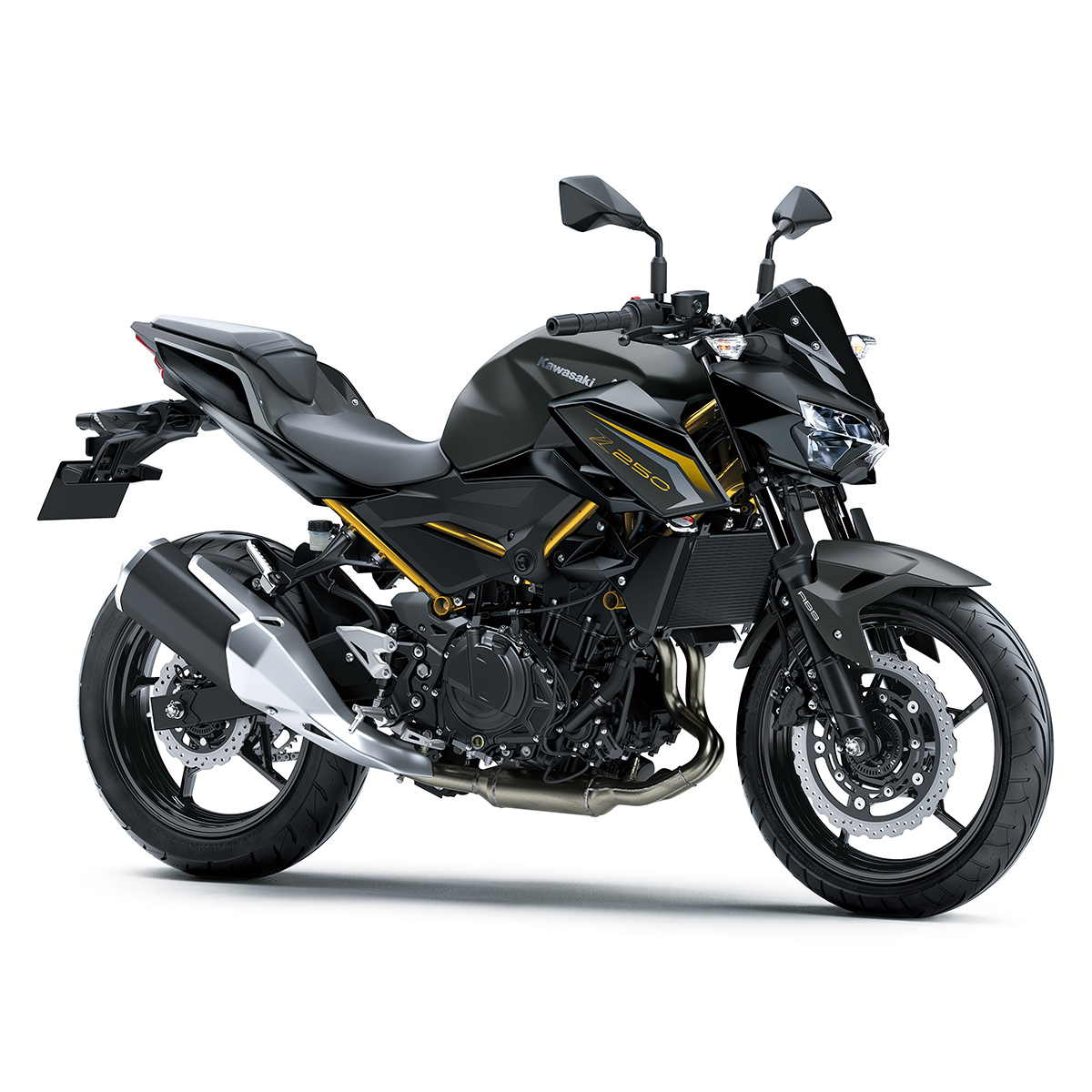 کاواساکی کاواساکی زد 248 ان ای‌بی‌اس 2025 - Kawasaki Z 248 N ABS 2025